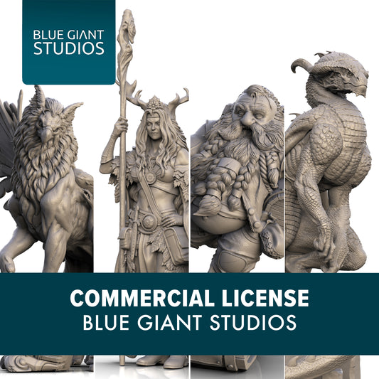 Commercial License | Lifetime License